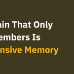 A Brain That Only Remembers Is Expensive Memory